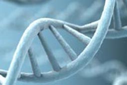 ddos流量攻击购买